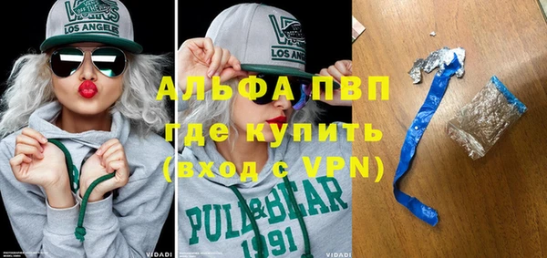 крисы Богородицк