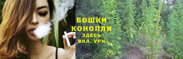 крисы Богородицк