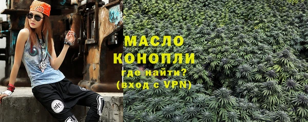крисы Богородицк