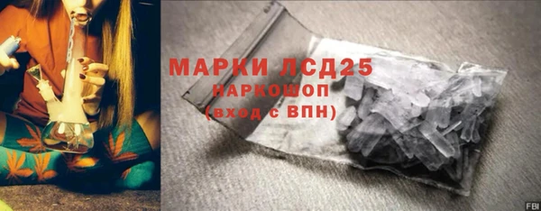 крисы Богородицк